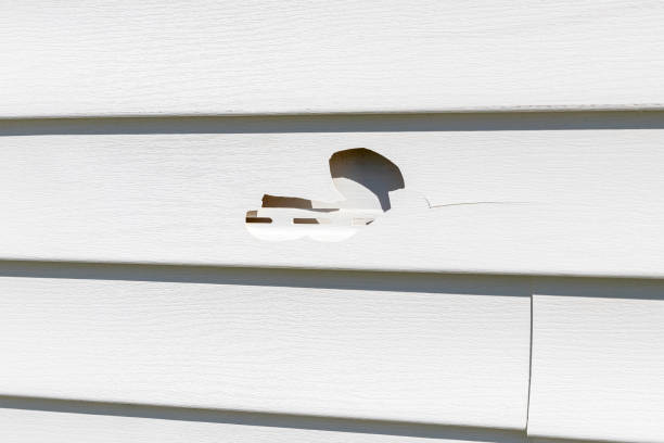 Best Siding Painting and Refinishing  in Fayette, LA